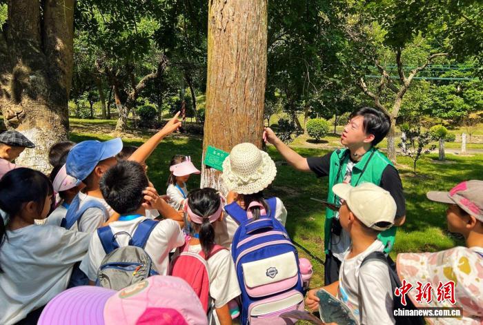 粤港澳携手推进自然教育  生态文明理念扎根湾区