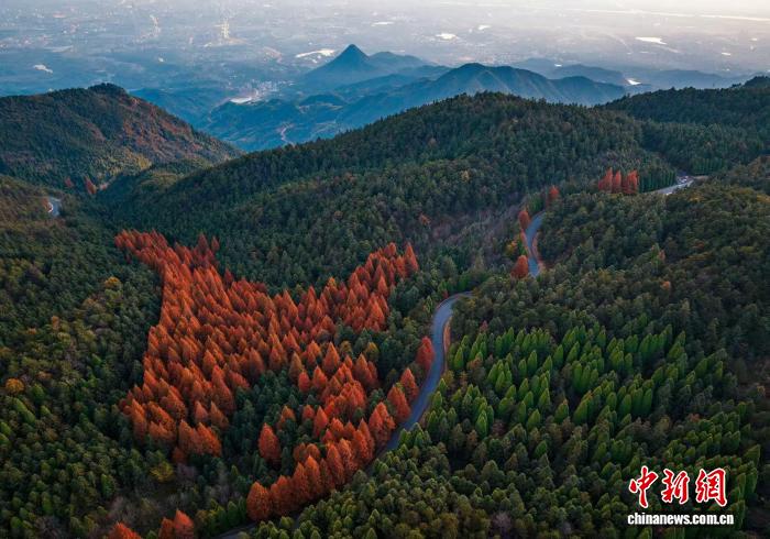 文化观察：这一信俗文化何以联结华侨华人走向世界？