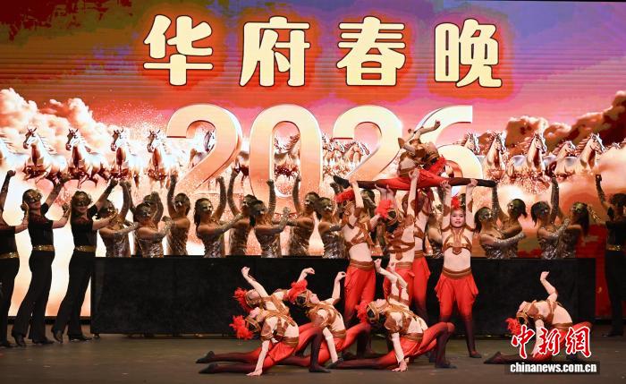 中国驻美大使谢锋与旅美侨胞共赏“华府春晚”