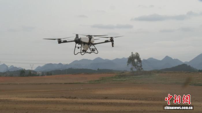 广西来宾：农机赋能“甜蜜产业”提质增效