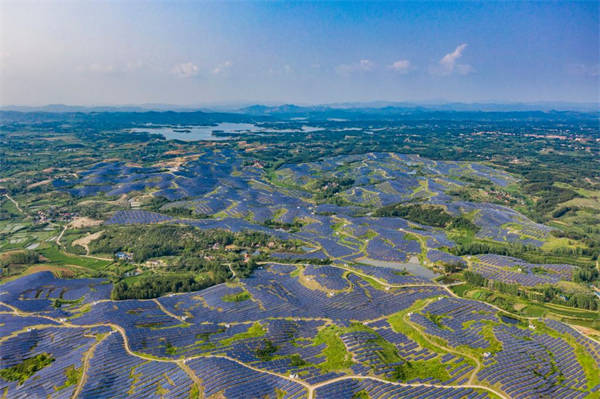 海评面：“在这场未来能源竞争中，中国已取得领先”