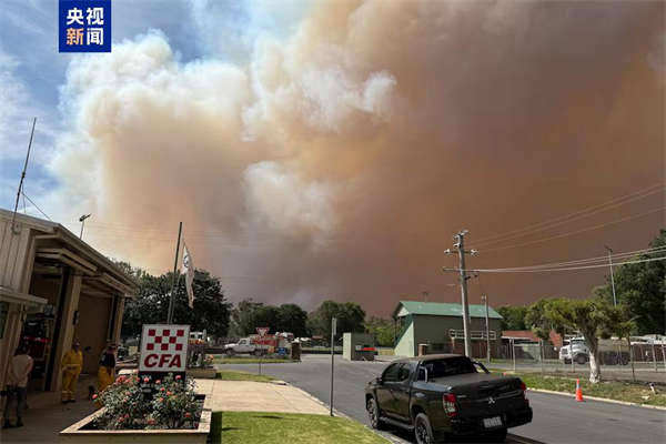 丛林大火蔓延澳大利亚维多利亚州进入灾难状态