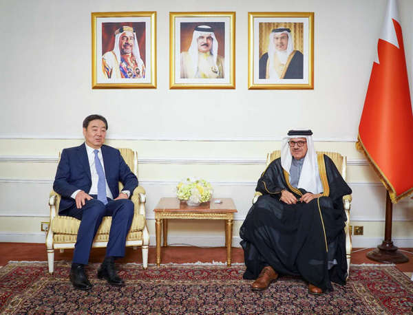 中国特使在巴林表态