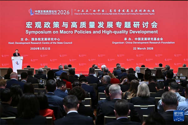 海外网评：论坛为桥，共绘发展新图景