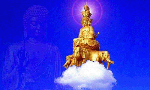 禅与净土有何区别？两者之间又有什么相似之处