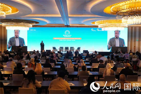 印度尼西亚外交政策协会举办中等强国主题研讨会