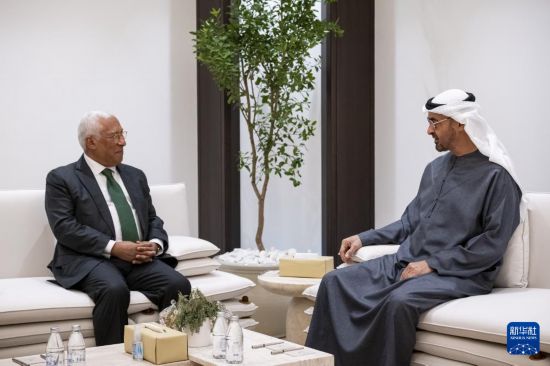 阿联酋总统与欧洲理事会主席讨论中东局势
