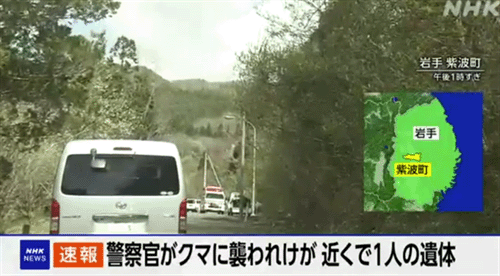 日本一警察搜寻失踪人员时遭熊袭击受伤，现场发现一具遗体