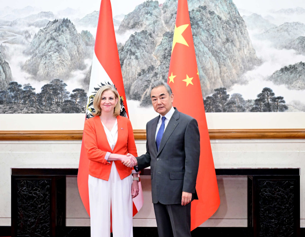 王毅：中国发展是欧洲的机遇而非挑战